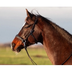 Edix ED2 Grace Sidepull Bridle